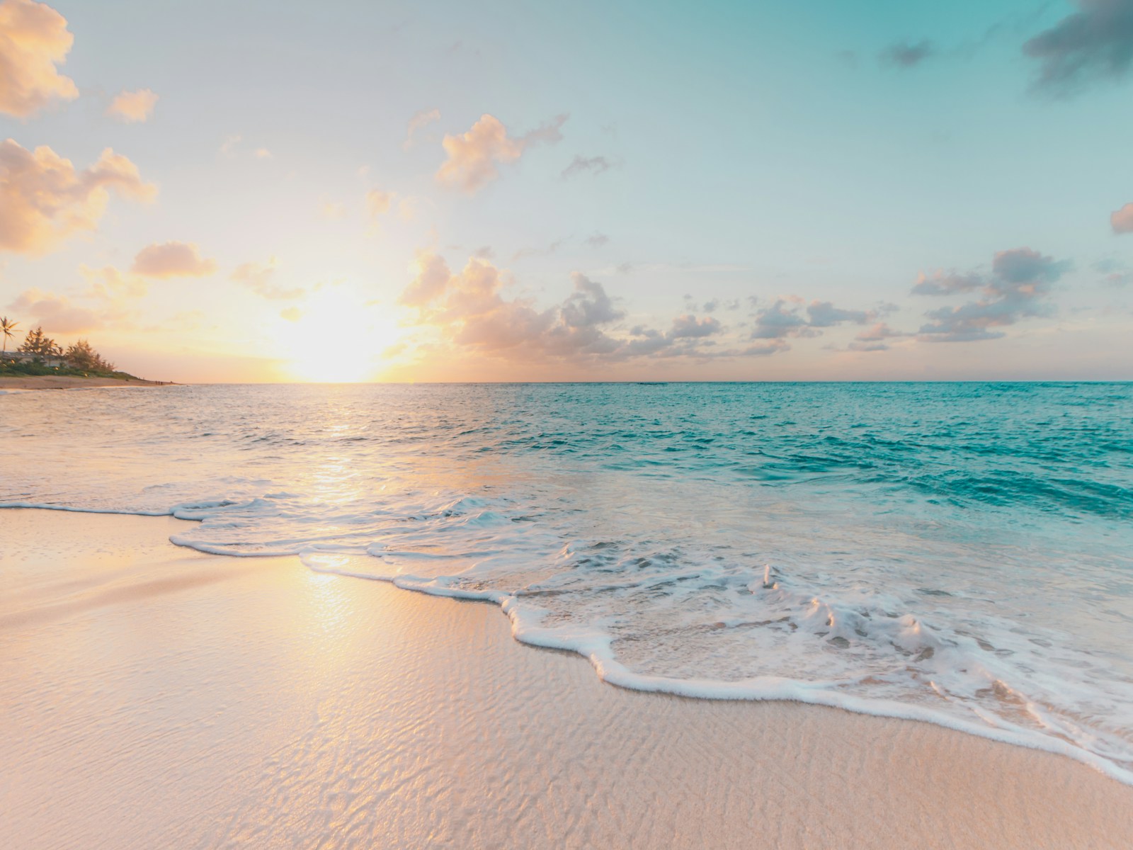 Clean Beach After Removal